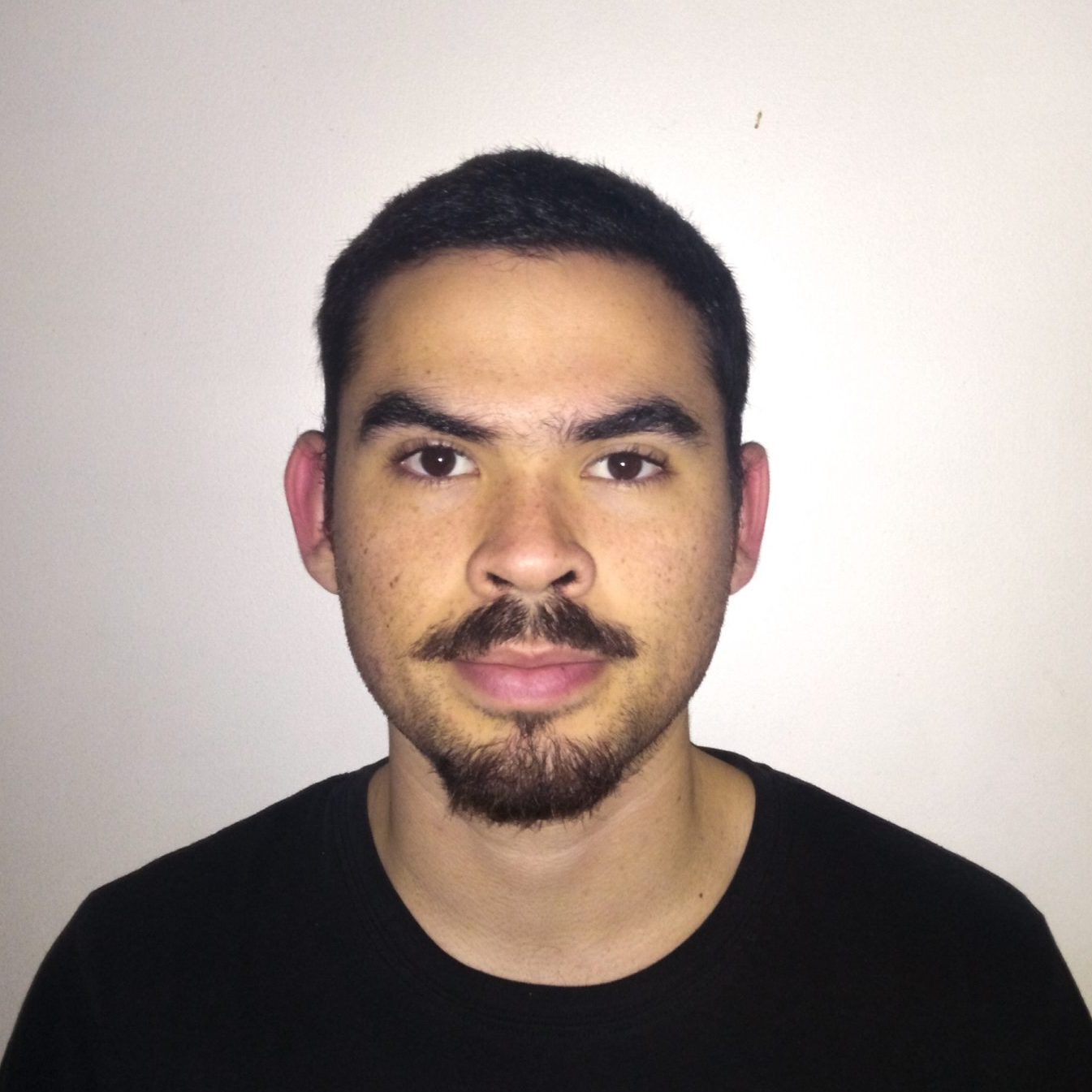 Raúl Zamorano-Illanes